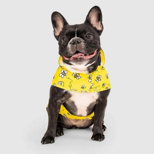 Canada Pooch - Pick Me Poncho (HoneyBee)