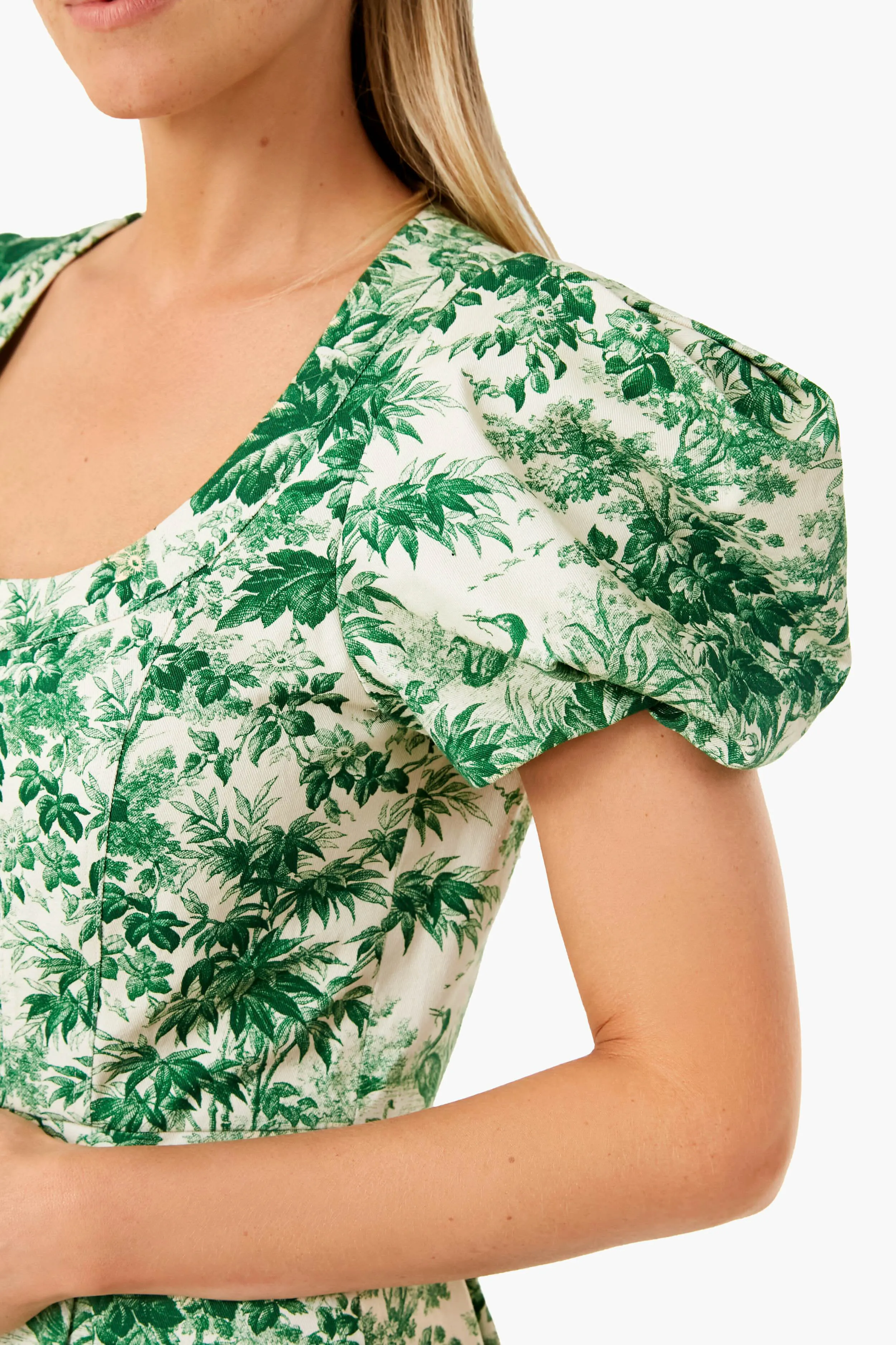 Cypress Toile Amelia Gown