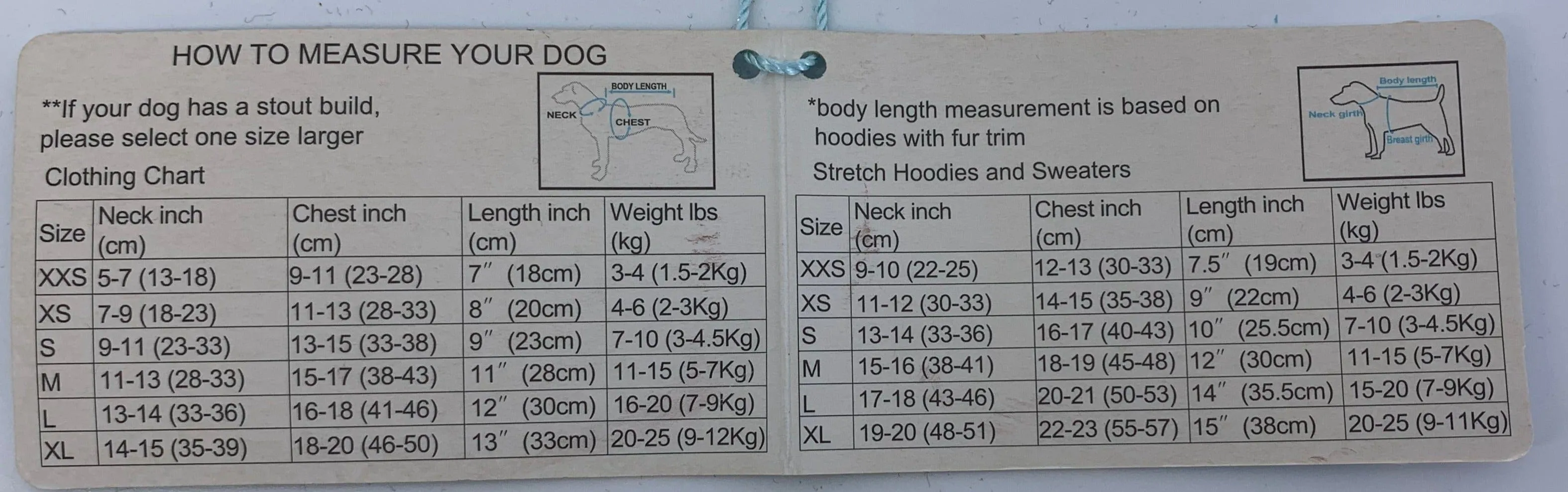 Just Fur Fun- Dog T-shirt (Assistant Trainer)