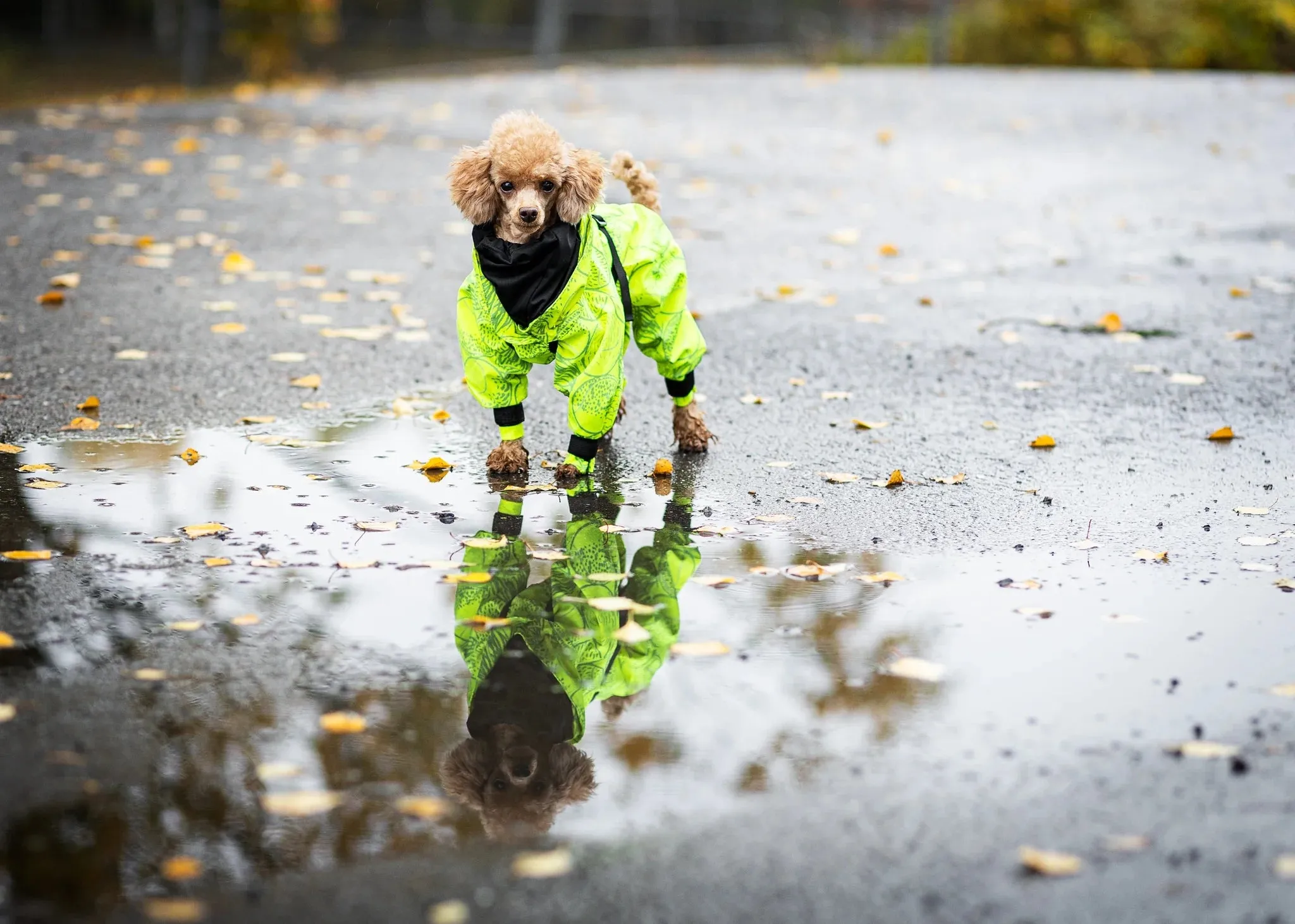Paikka - Rain Suit Neon